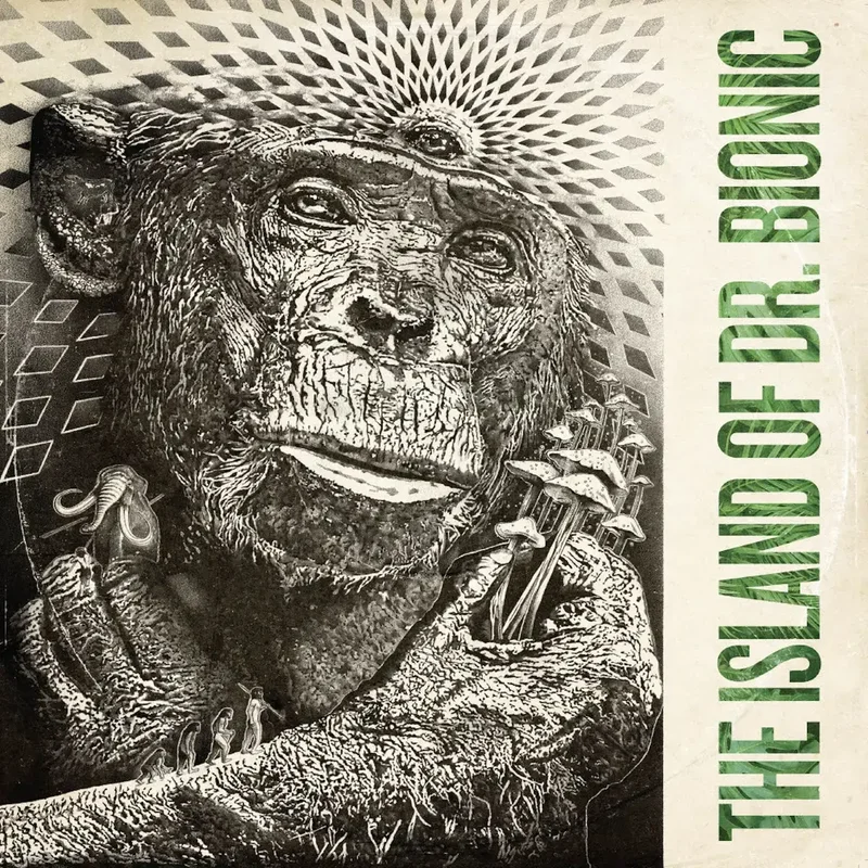 strangerthanparadiserecords202605071126372714687